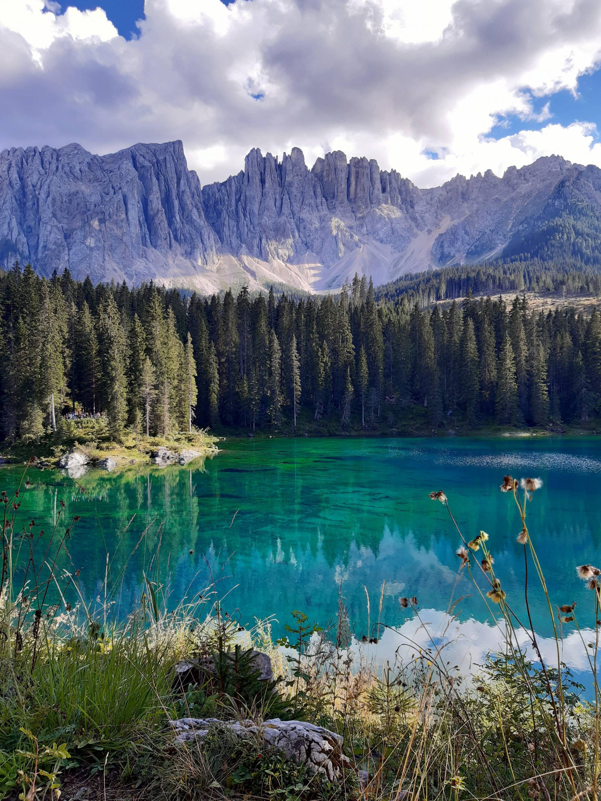 Milieu forestier de montagne (lac de Carezza) 