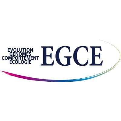 EGCE